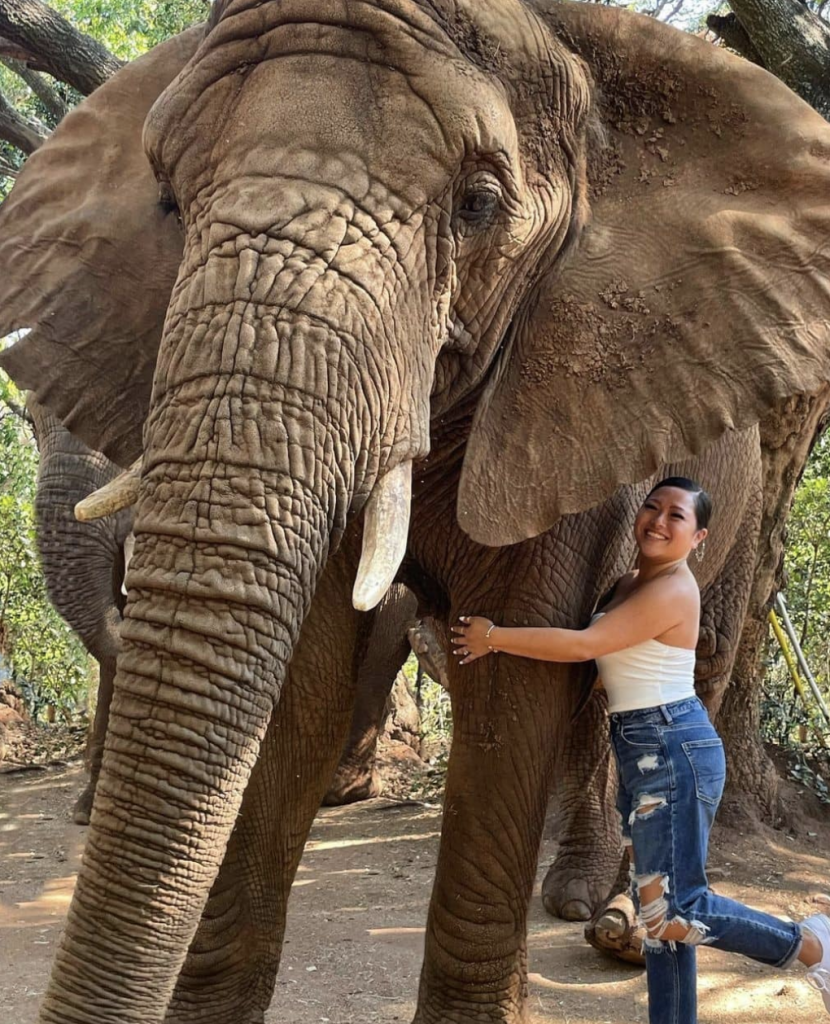 The Elephant Sanctuary, proposal spot